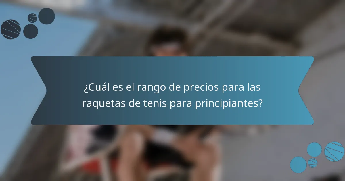 ¿Cuál es el rango de precios para las raquetas de tenis para principiantes?